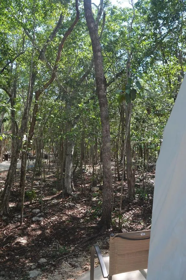 Glamping Mayan Glam Τουλούμ