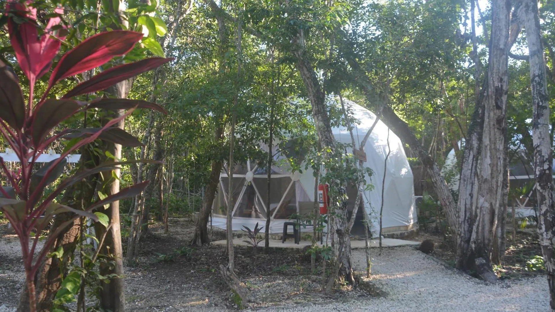 Οργανωμένο κάμπινγκ Glamping Mayan Glam Τουλούμ Μεξικό