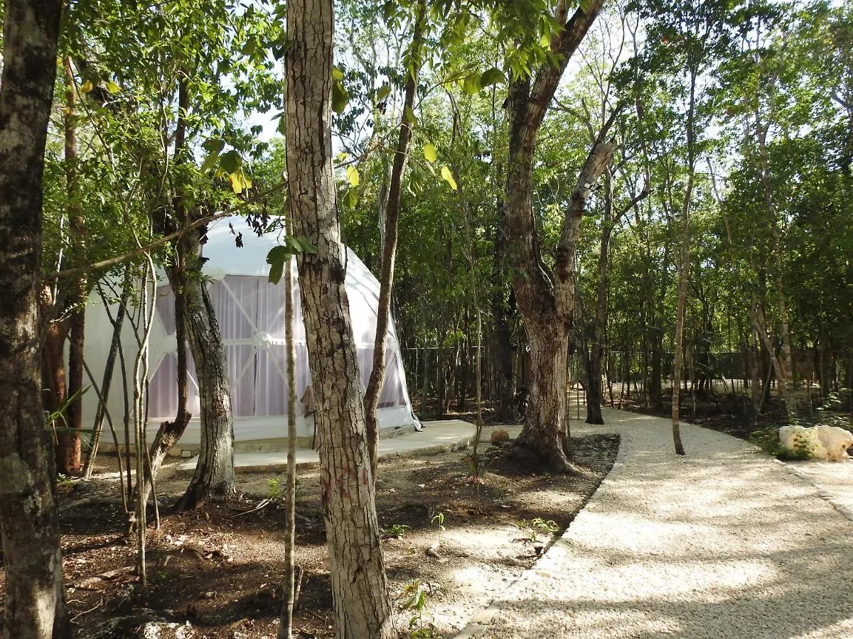 Glamping Mayan Glam Tulum Luxury tent