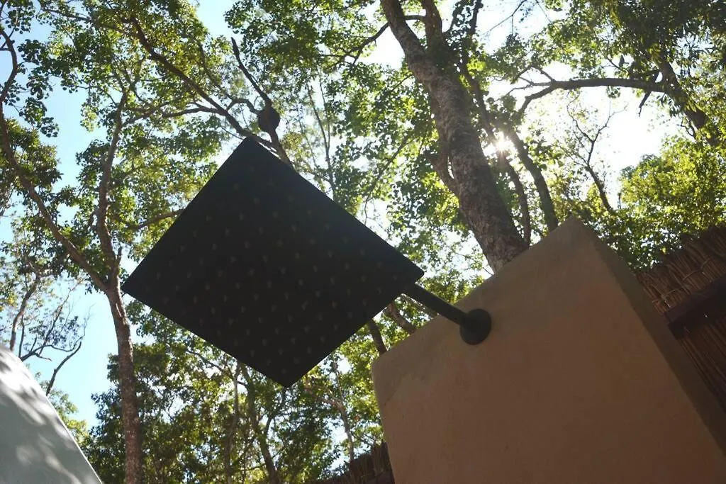 Luxury tent Glamping Mayan Glam Tulum Mexico